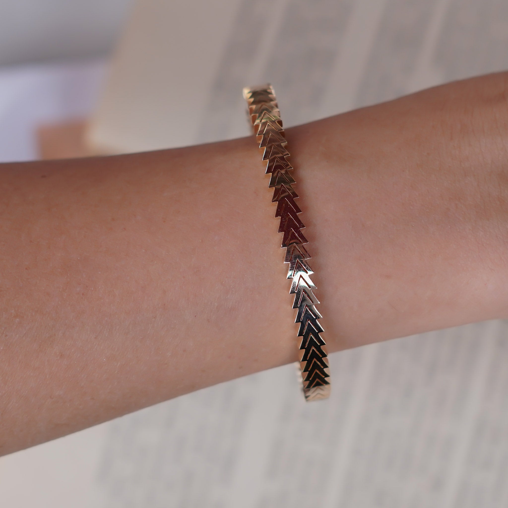 Balık Sırtı Bilezik