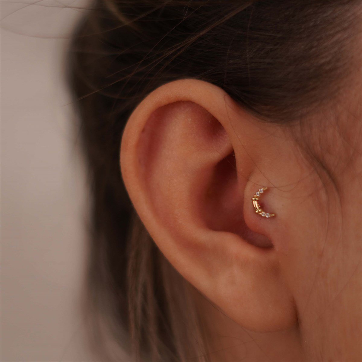 Hilal Tragus