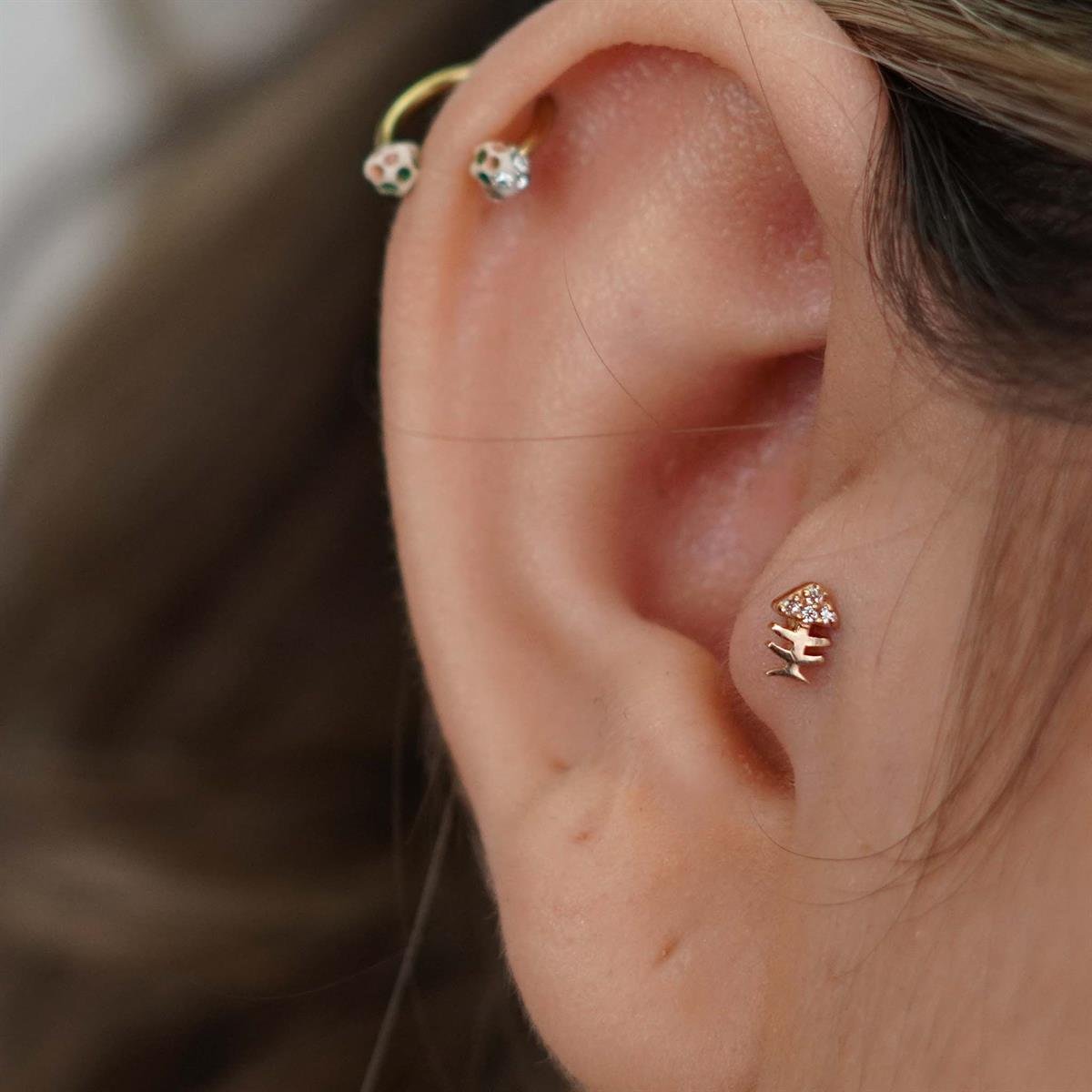 Kılçık Tragus