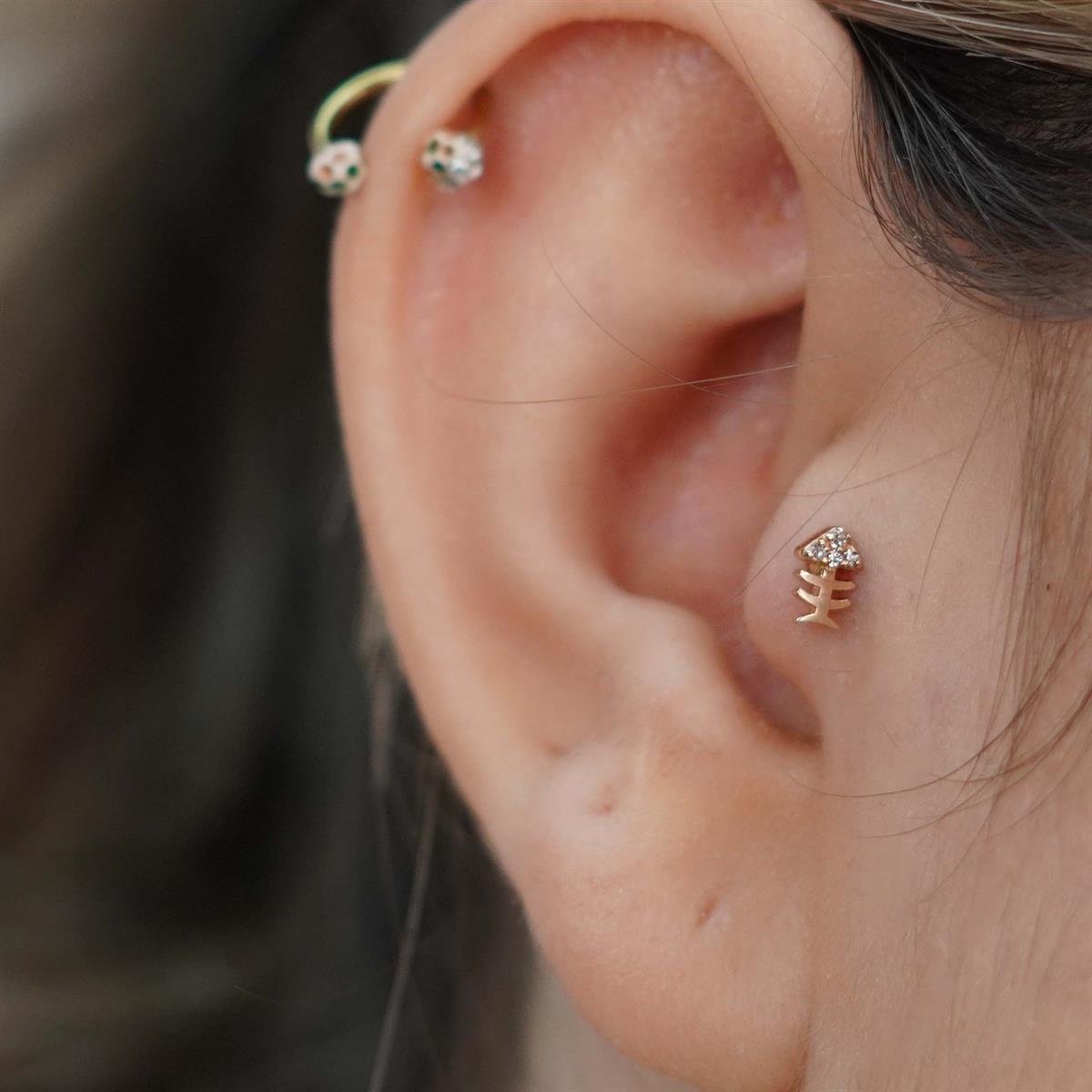 Kılçık Tragus