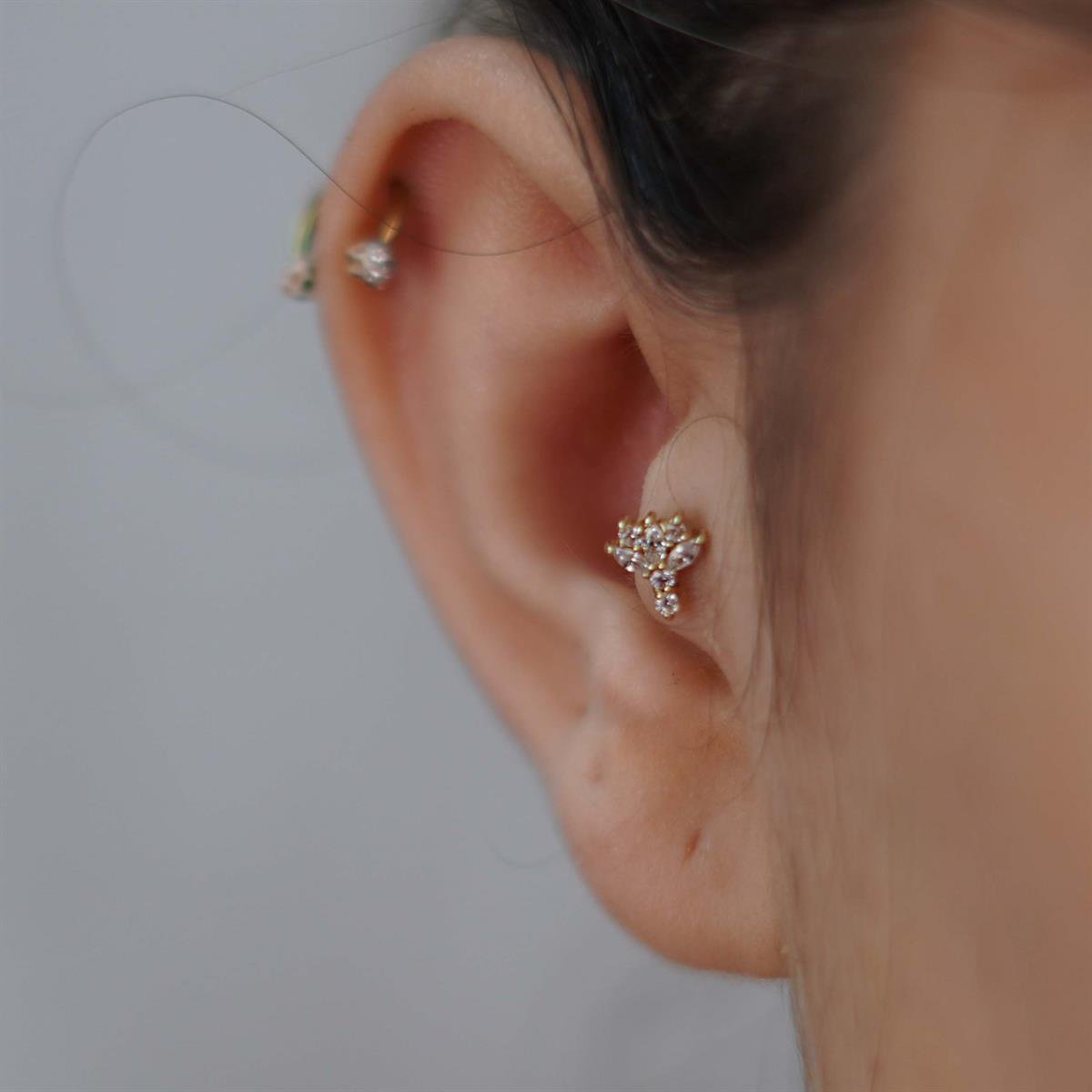 Taşlı Tragus