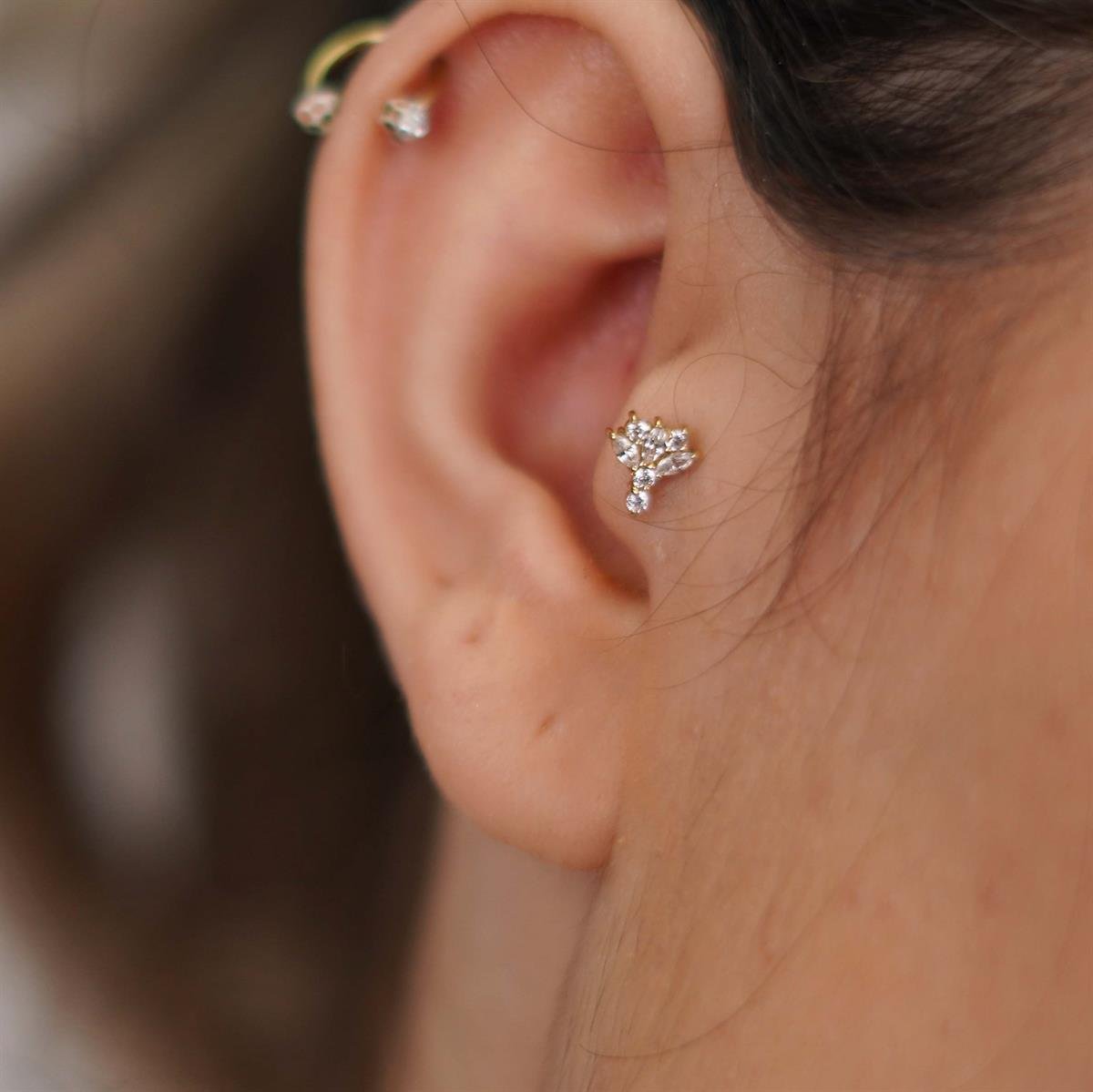 Taşlı Tragus