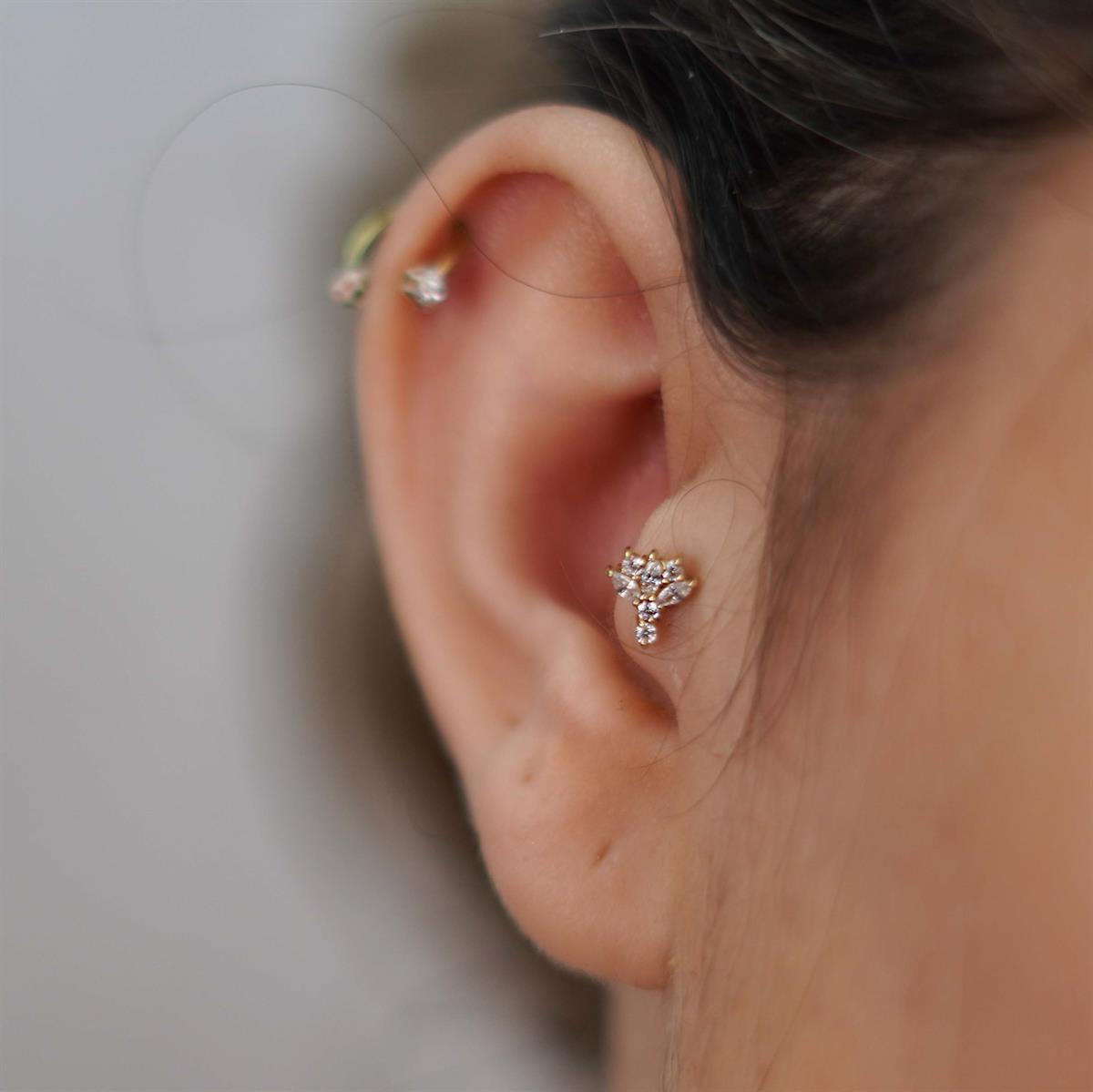 Taşlı Tragus