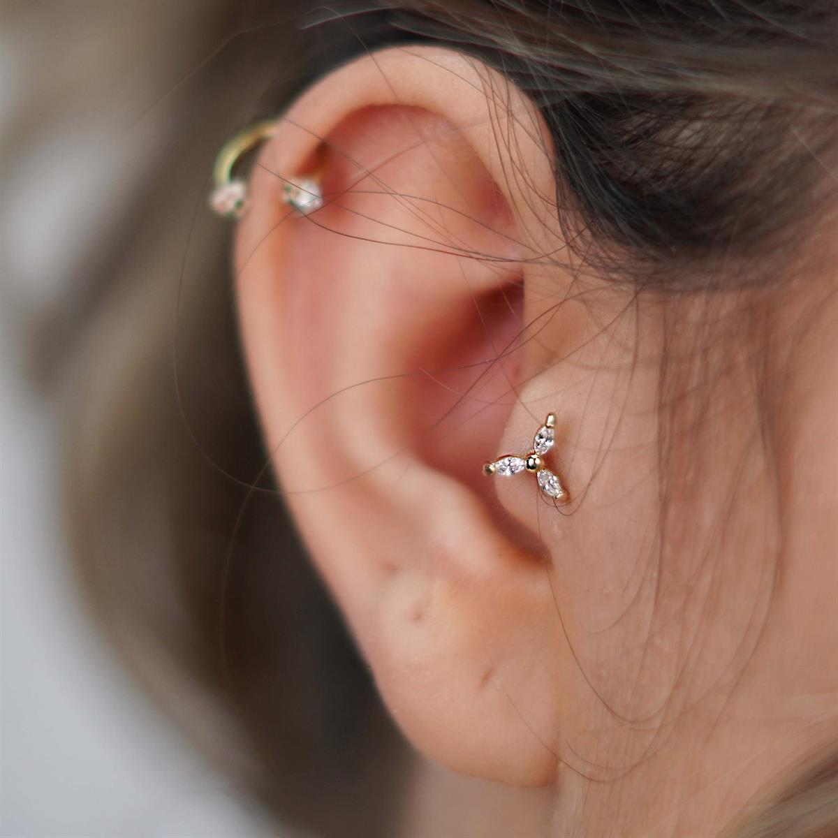 Tria Tragus