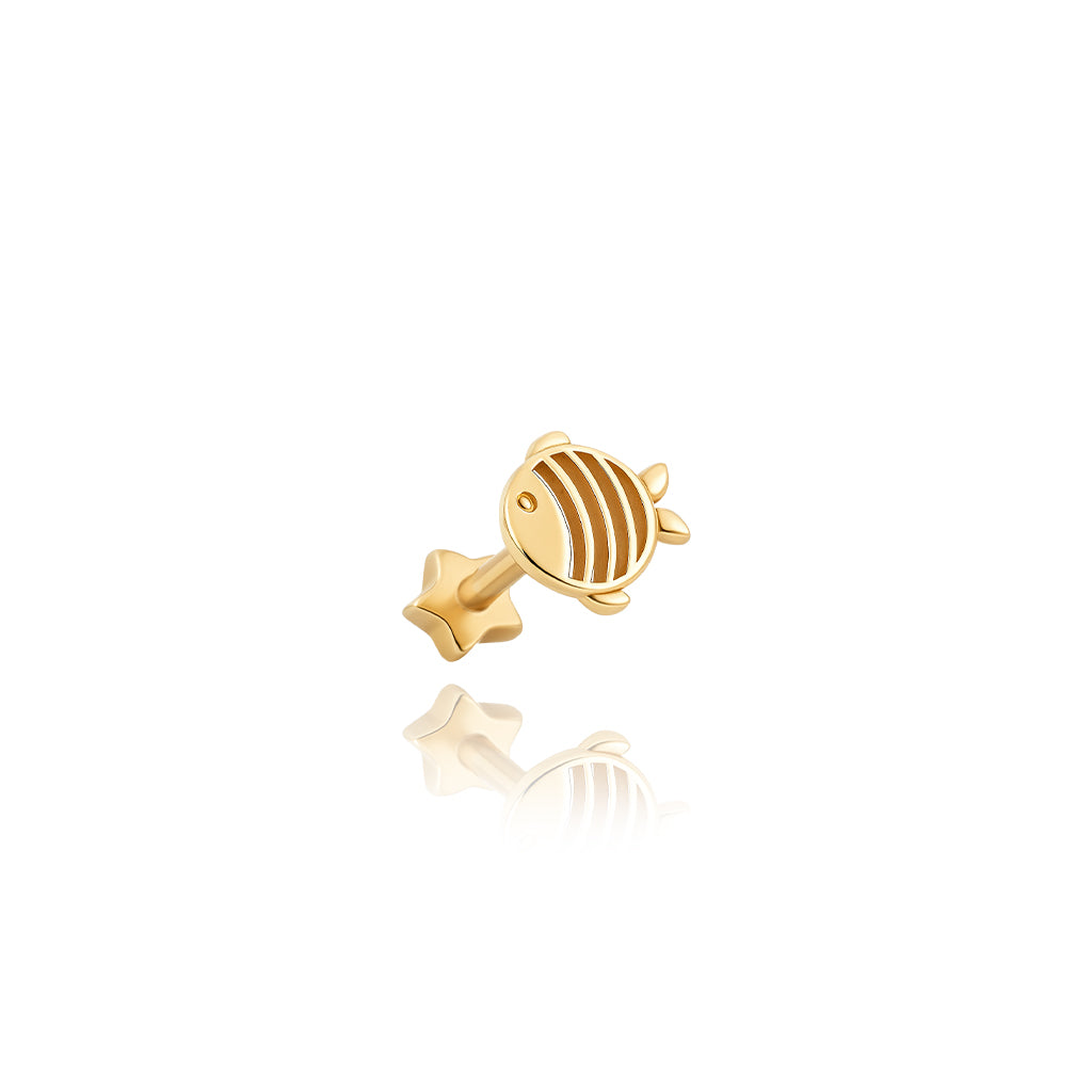 Balık Piercing