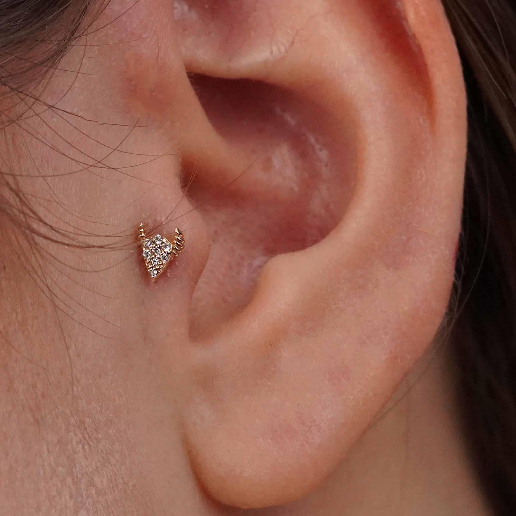 Boğa Piercing