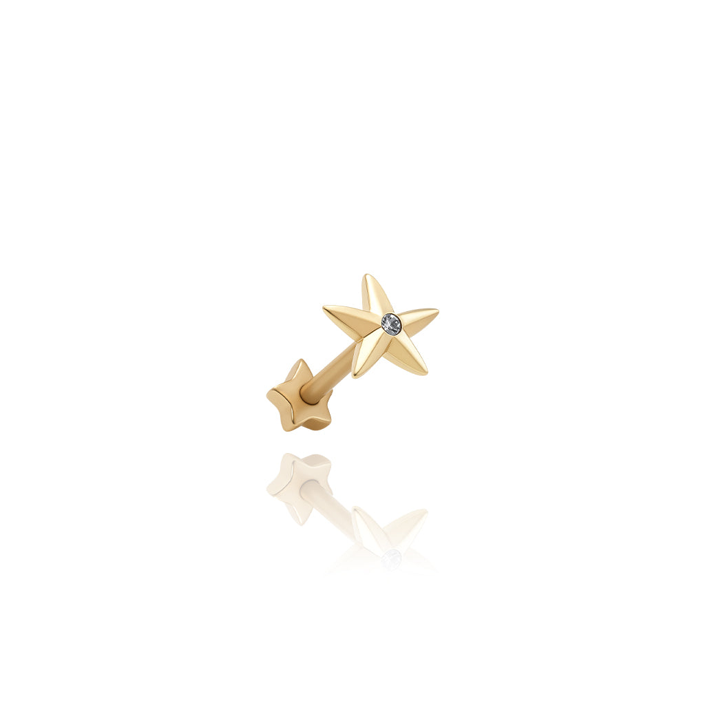 Deniz Yıldızı Piercing