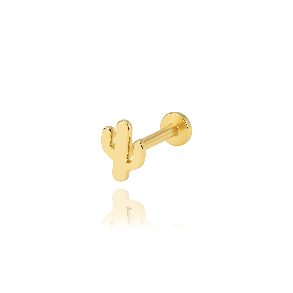 Kaktüs Piercing