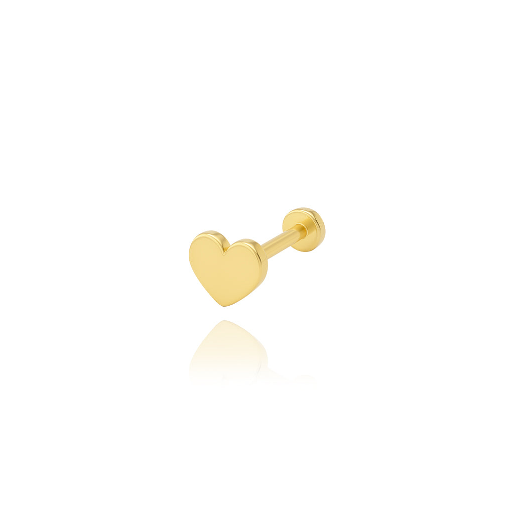 Kalp Tragus