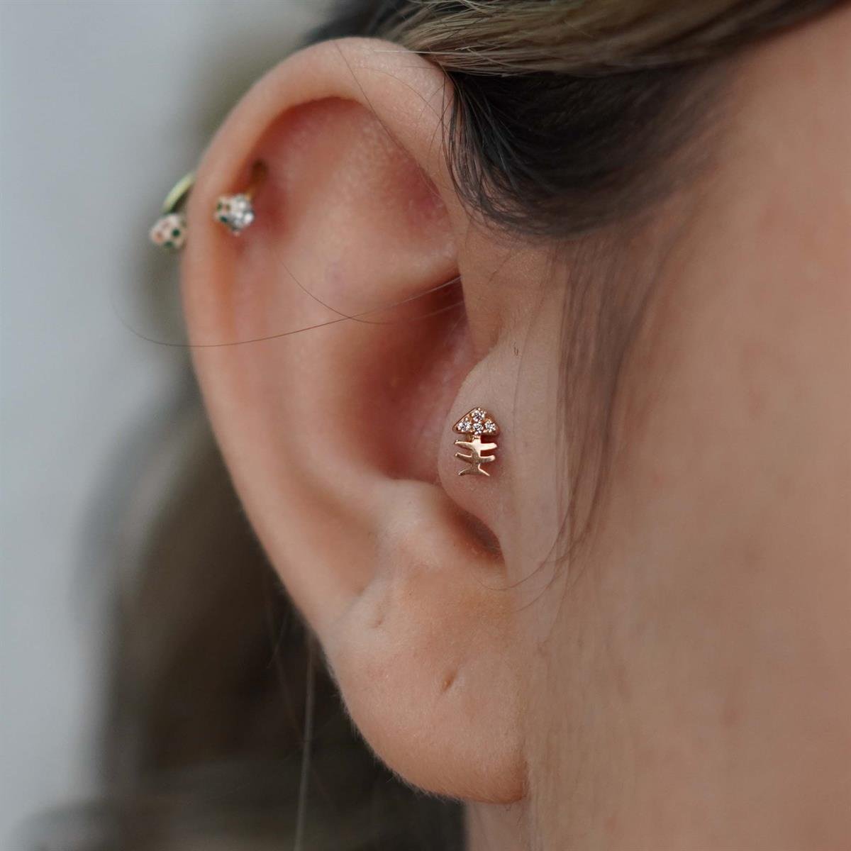 Kılçık Tragus