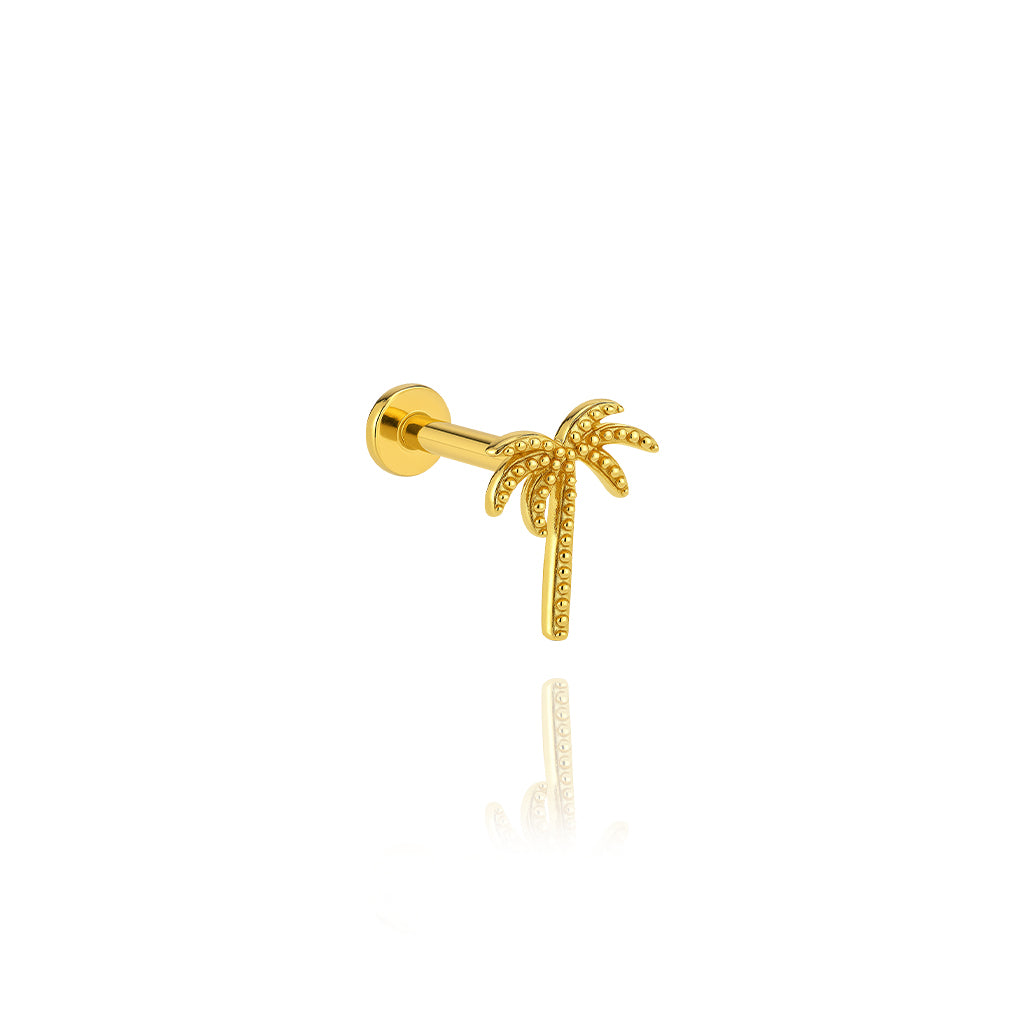 Palmiye Piercing