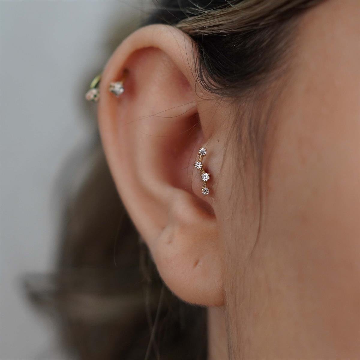 Su Yolu Tragus