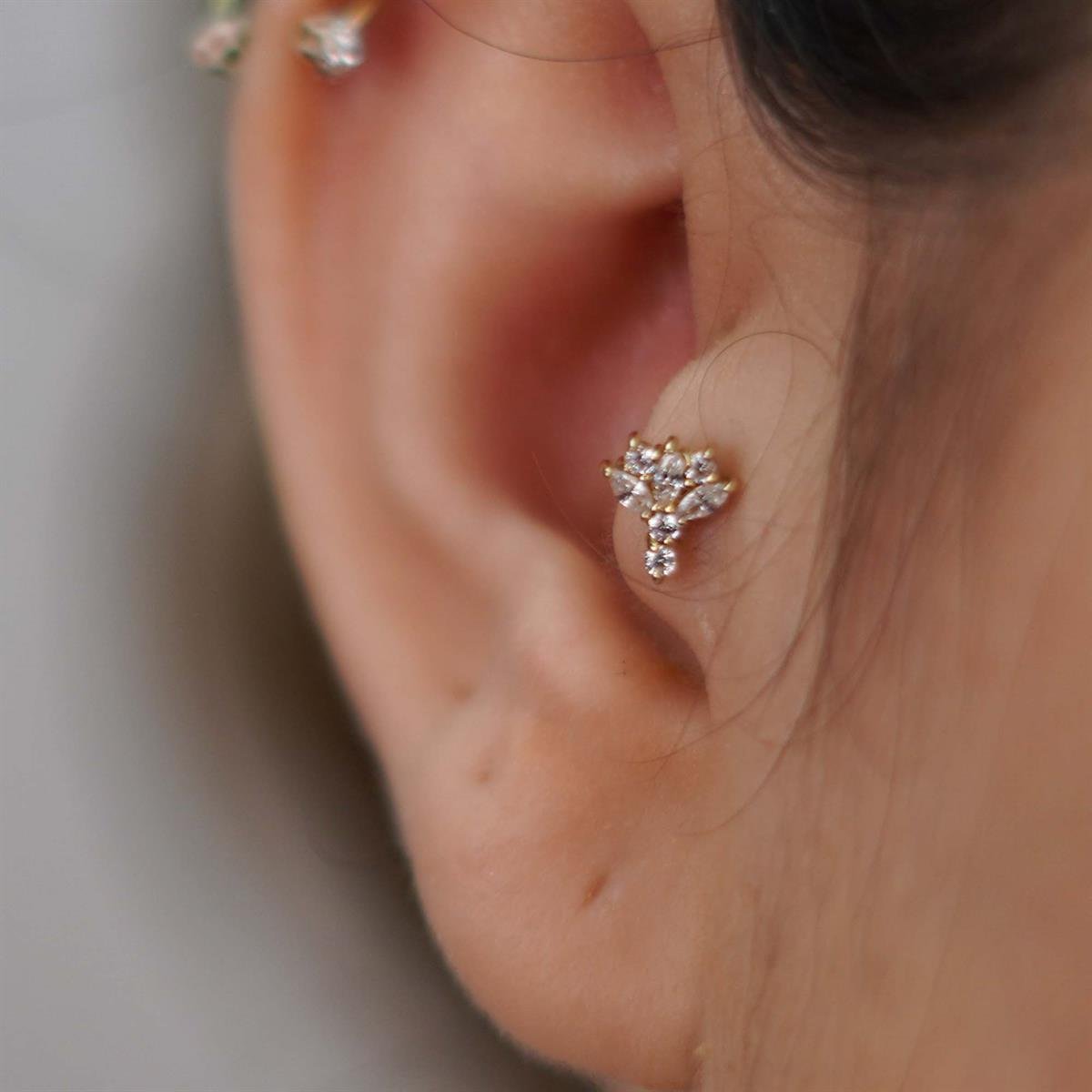 Taşlı Tragus