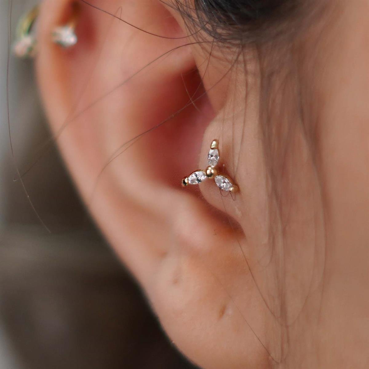 Tria Tragus