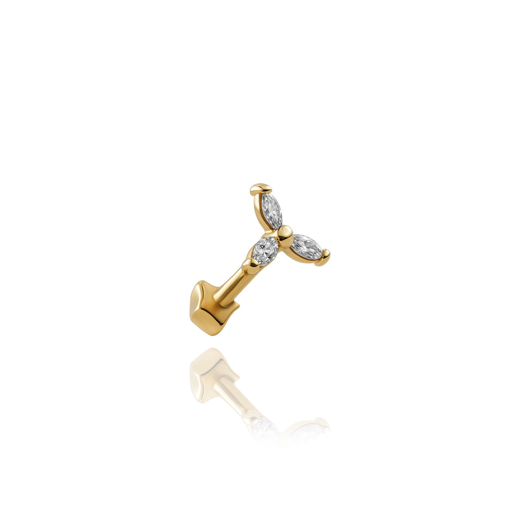 Tria Tragus