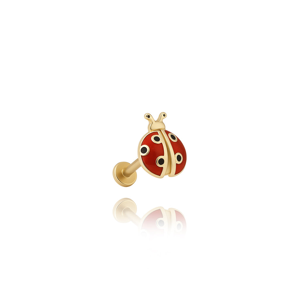 Uğur Böceği Piercing