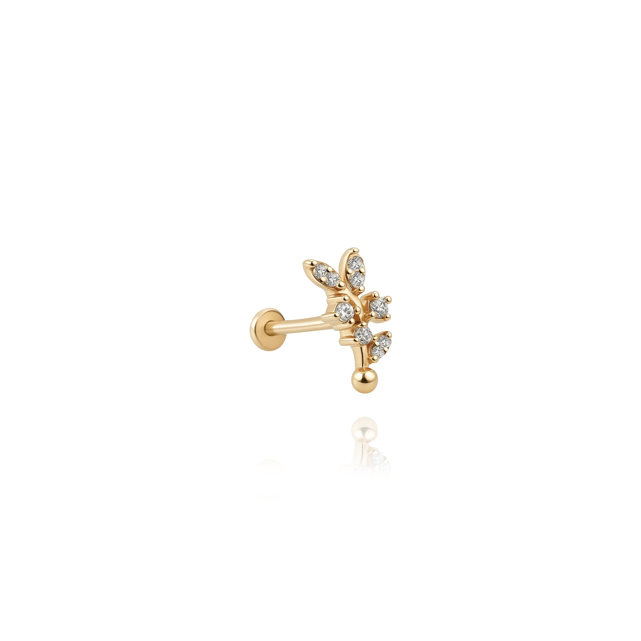 Zeytin Dalı Piercing